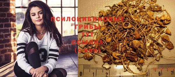 гашик Аркадак