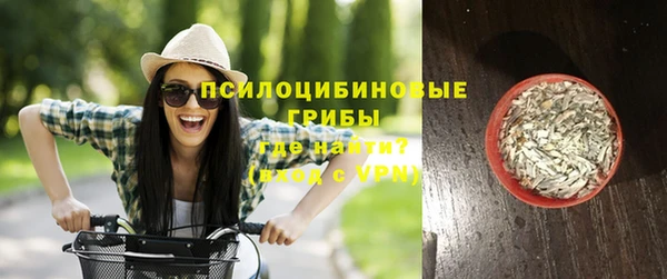 гашик Аркадак